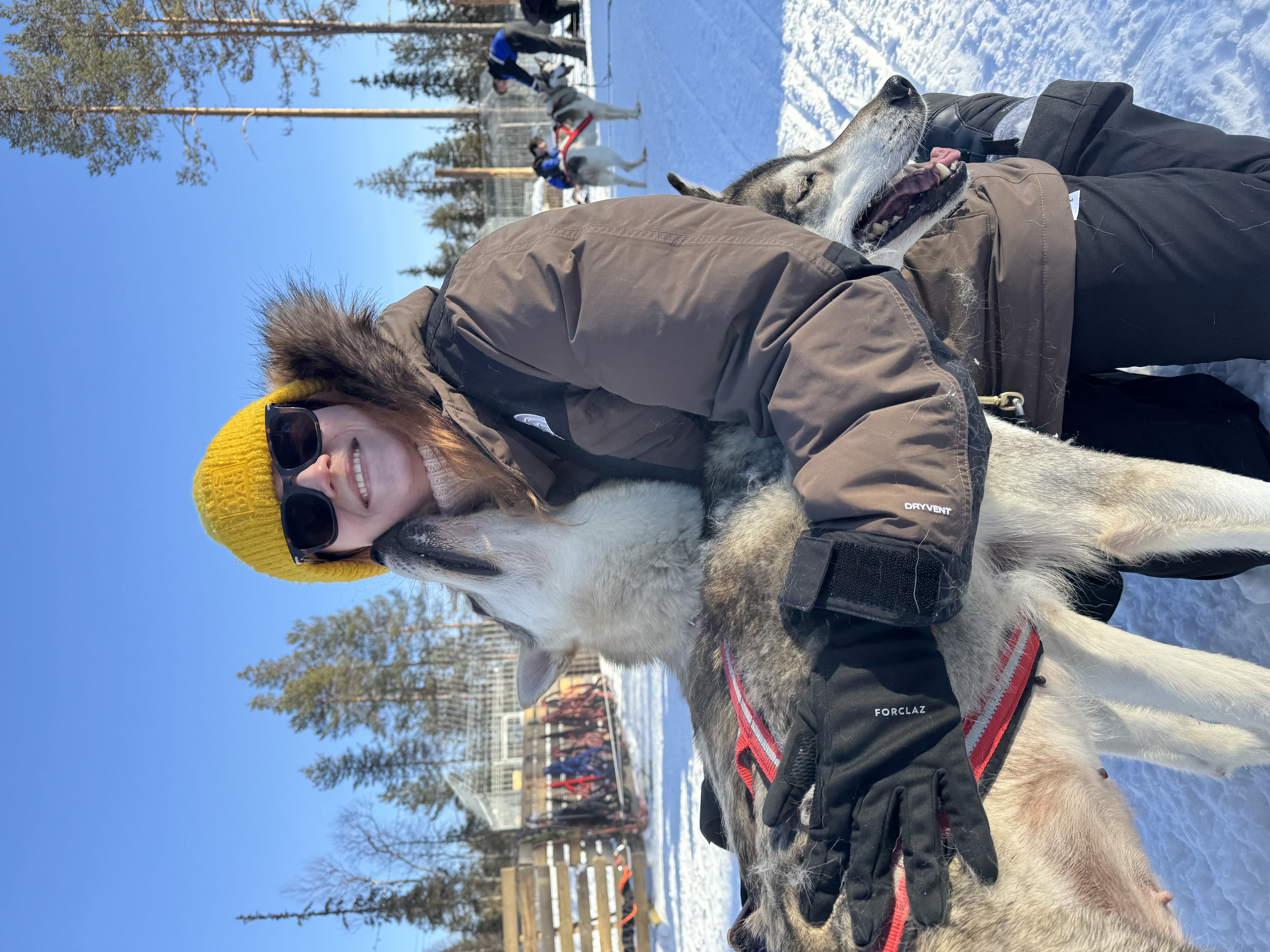 Husky 5 km Safari