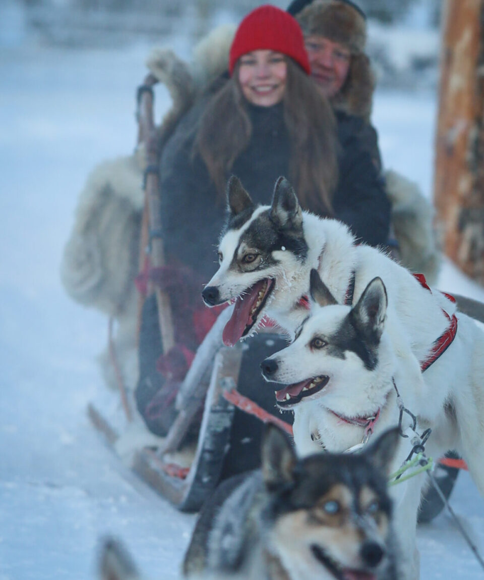Husky Farm Visit and Sleigh Ride