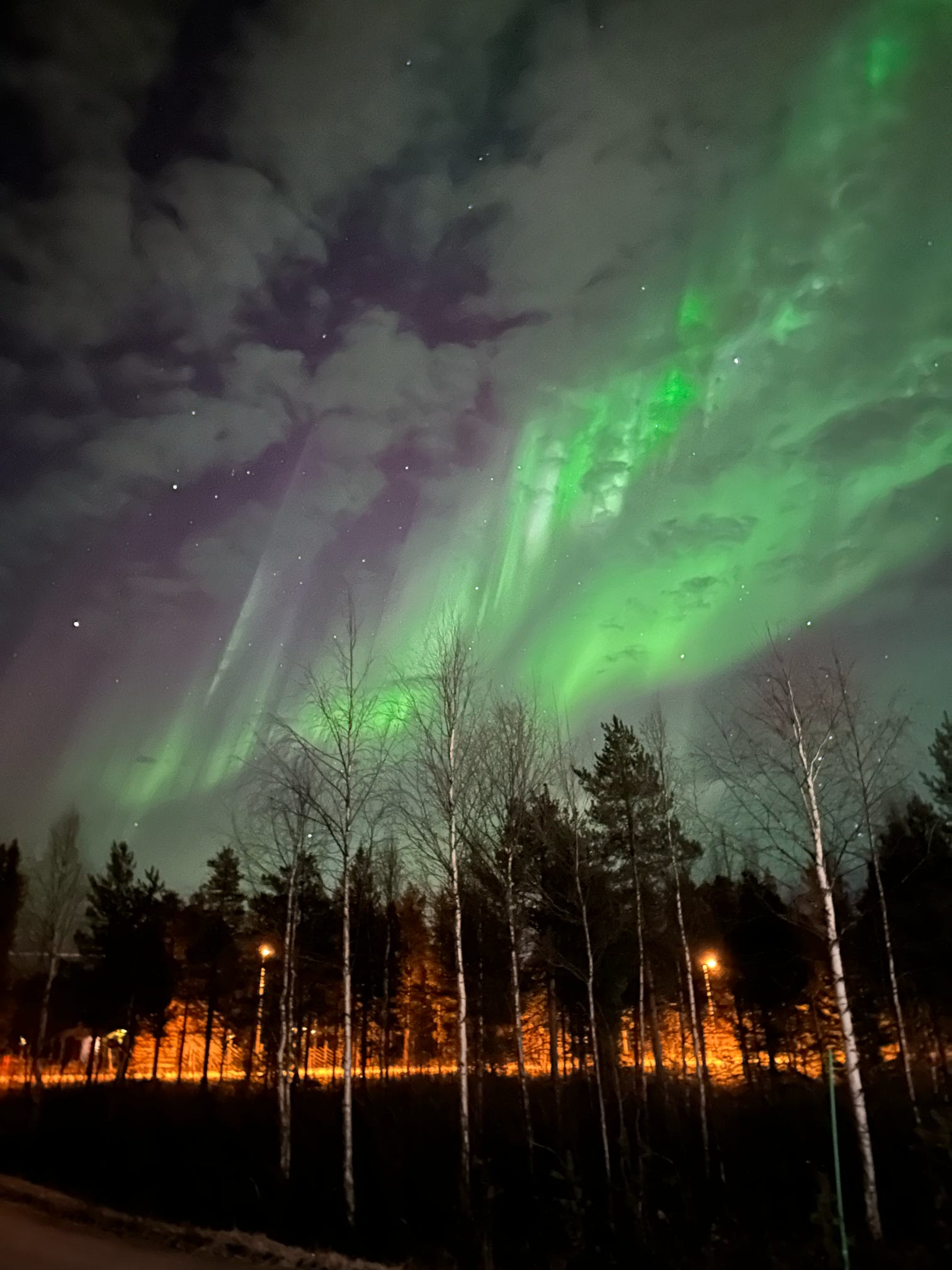 Lapland Arctic Adventure - Trip 2