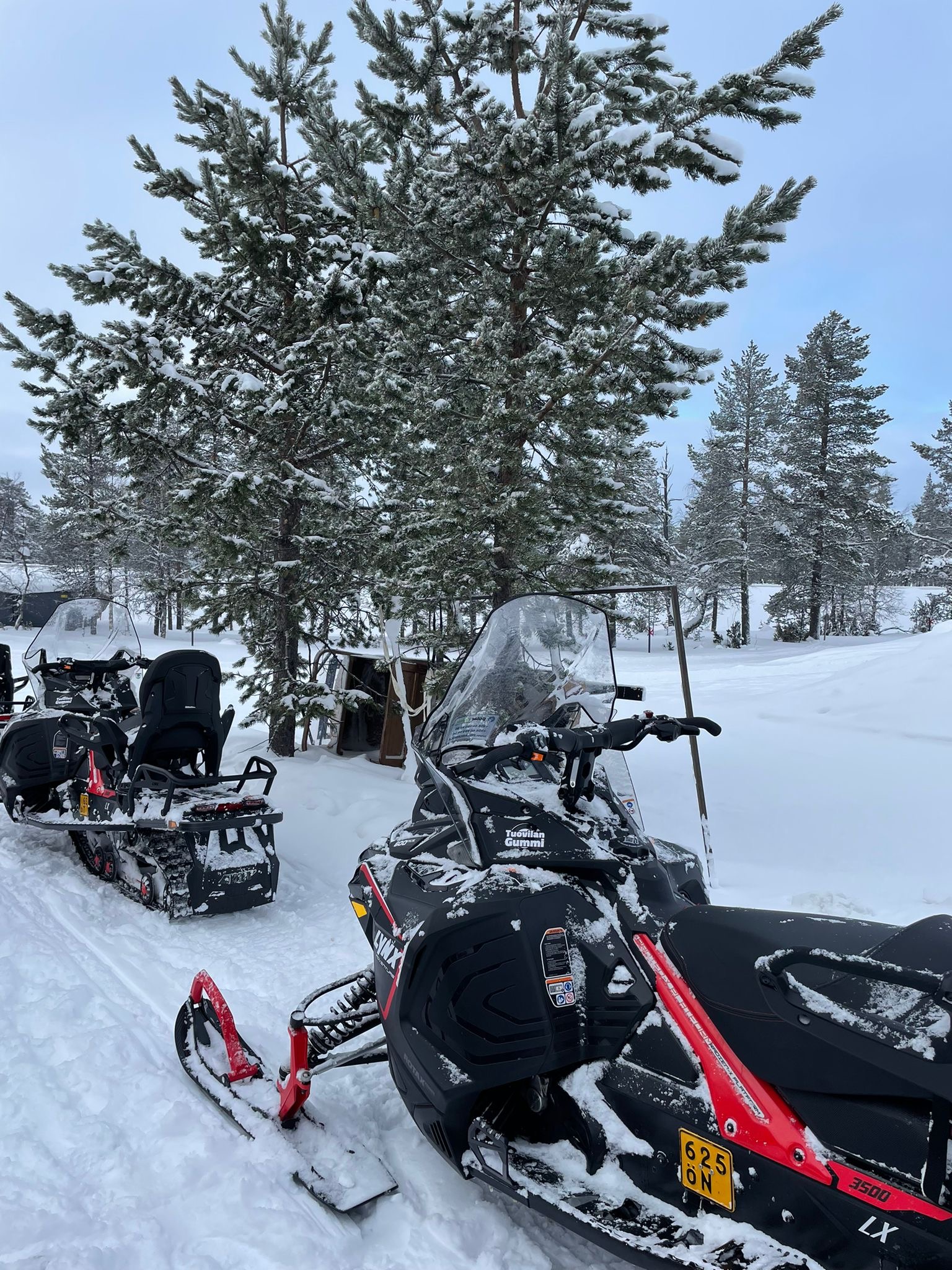 Snowmobile Safari