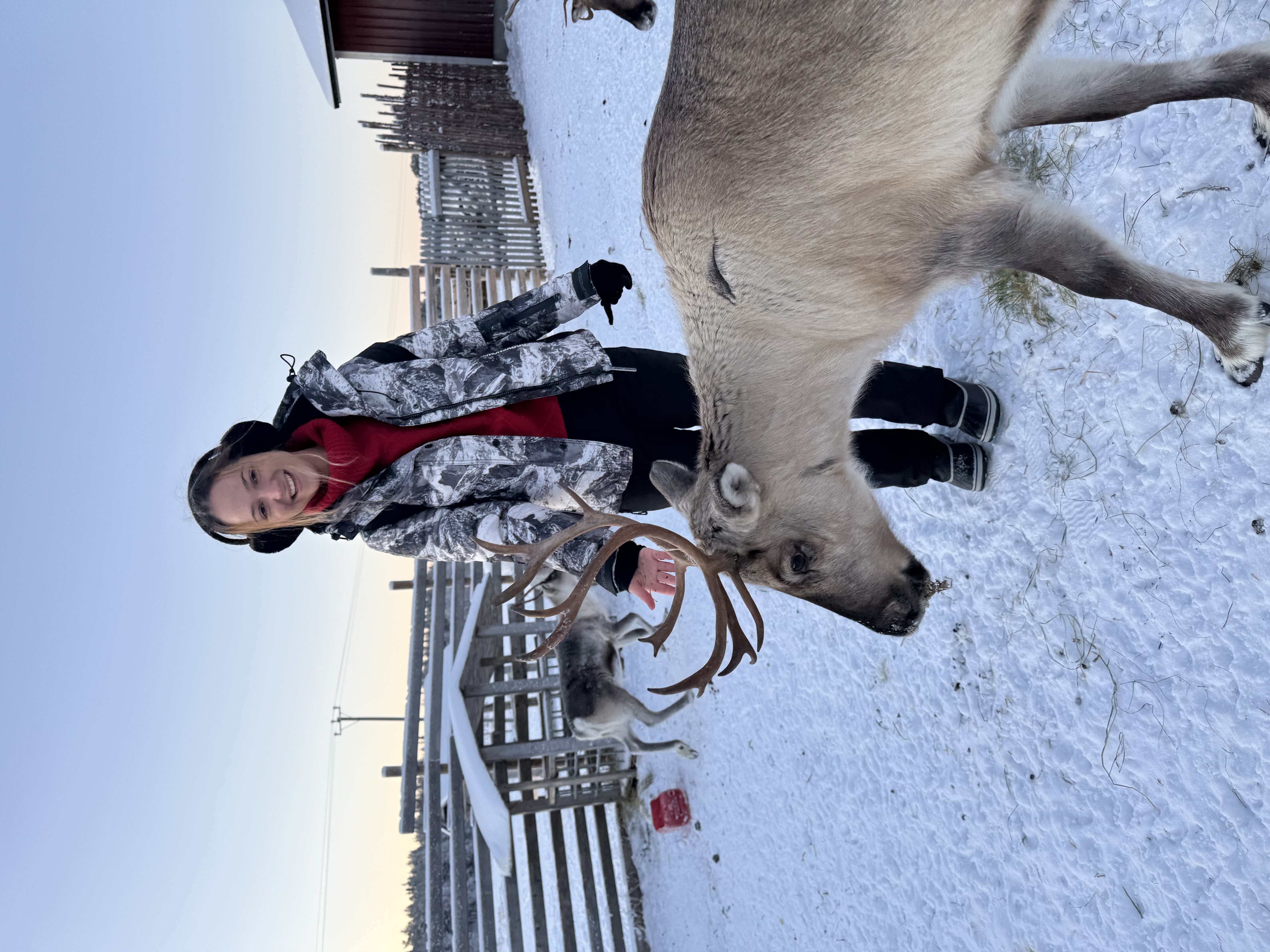 Lapland Winter Retreat: The Premium 5-Day Experience (22-26.03)