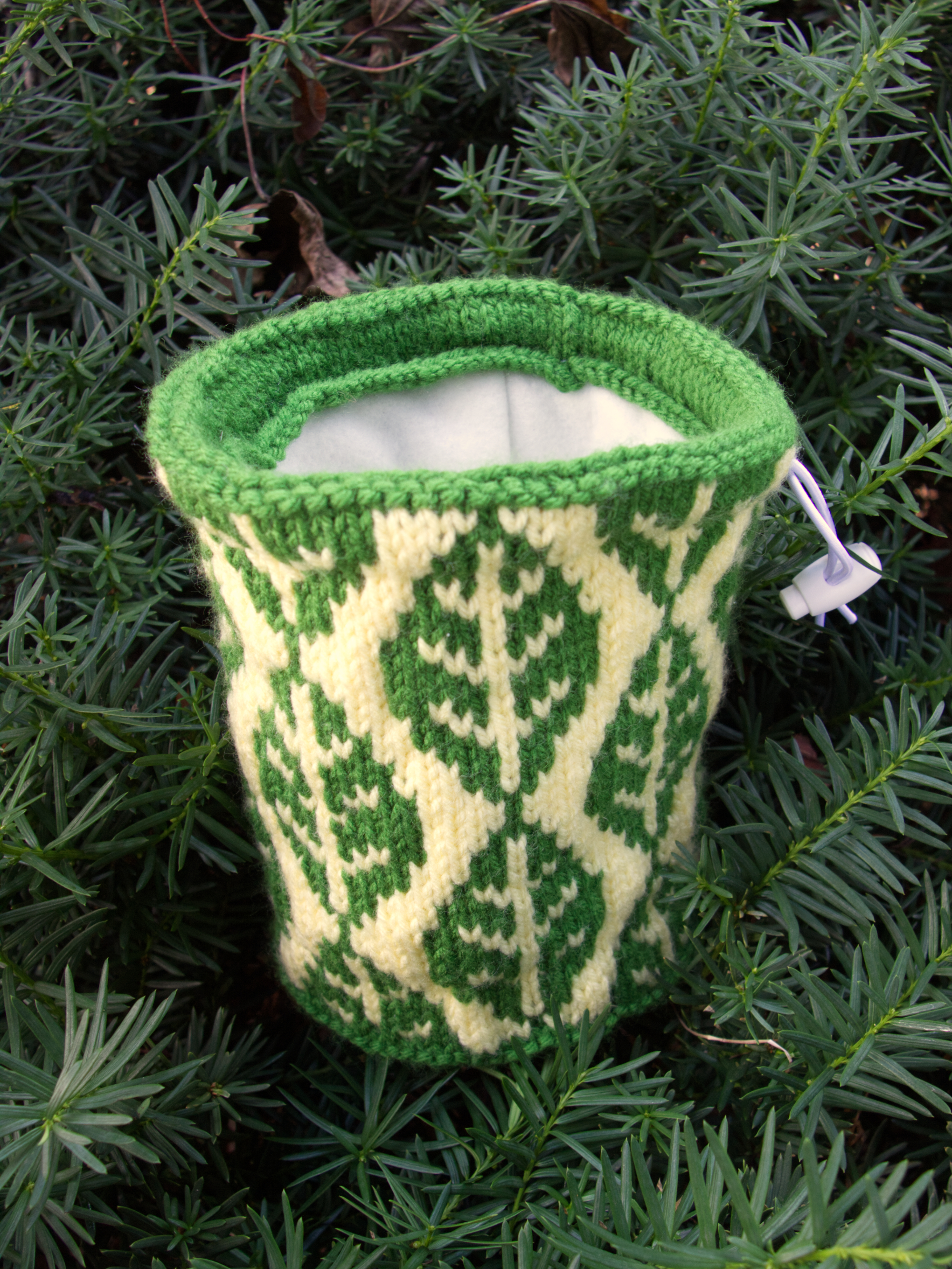 Leaves Chalk Bag