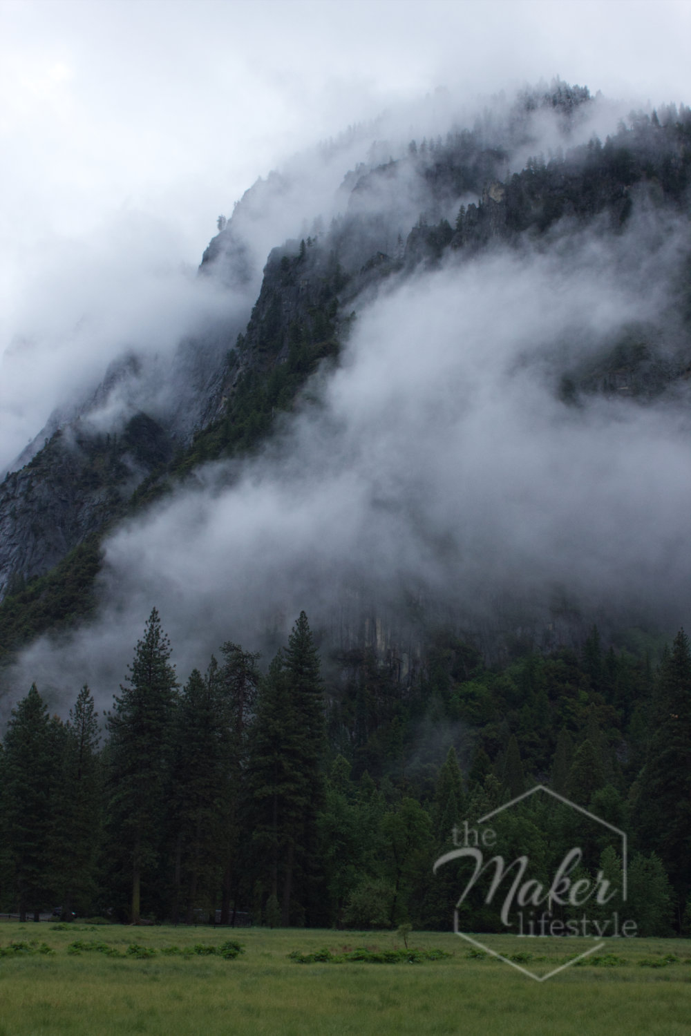 Yosemite Fog Photograph