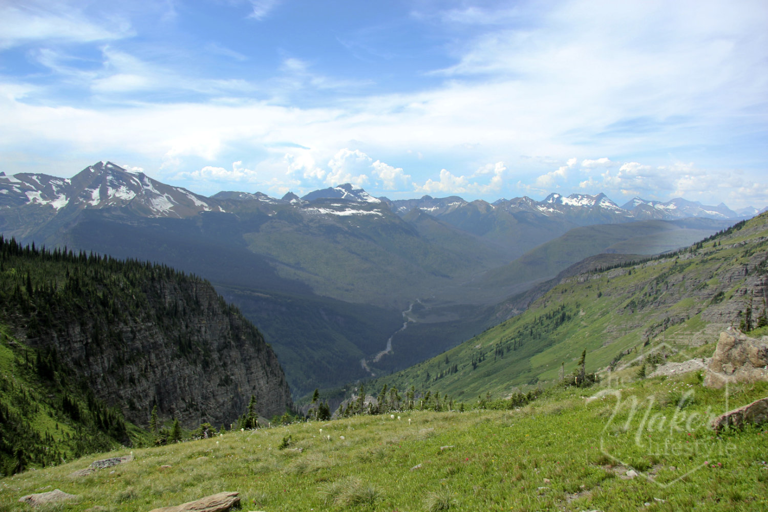 Alpine Meadow Photograph