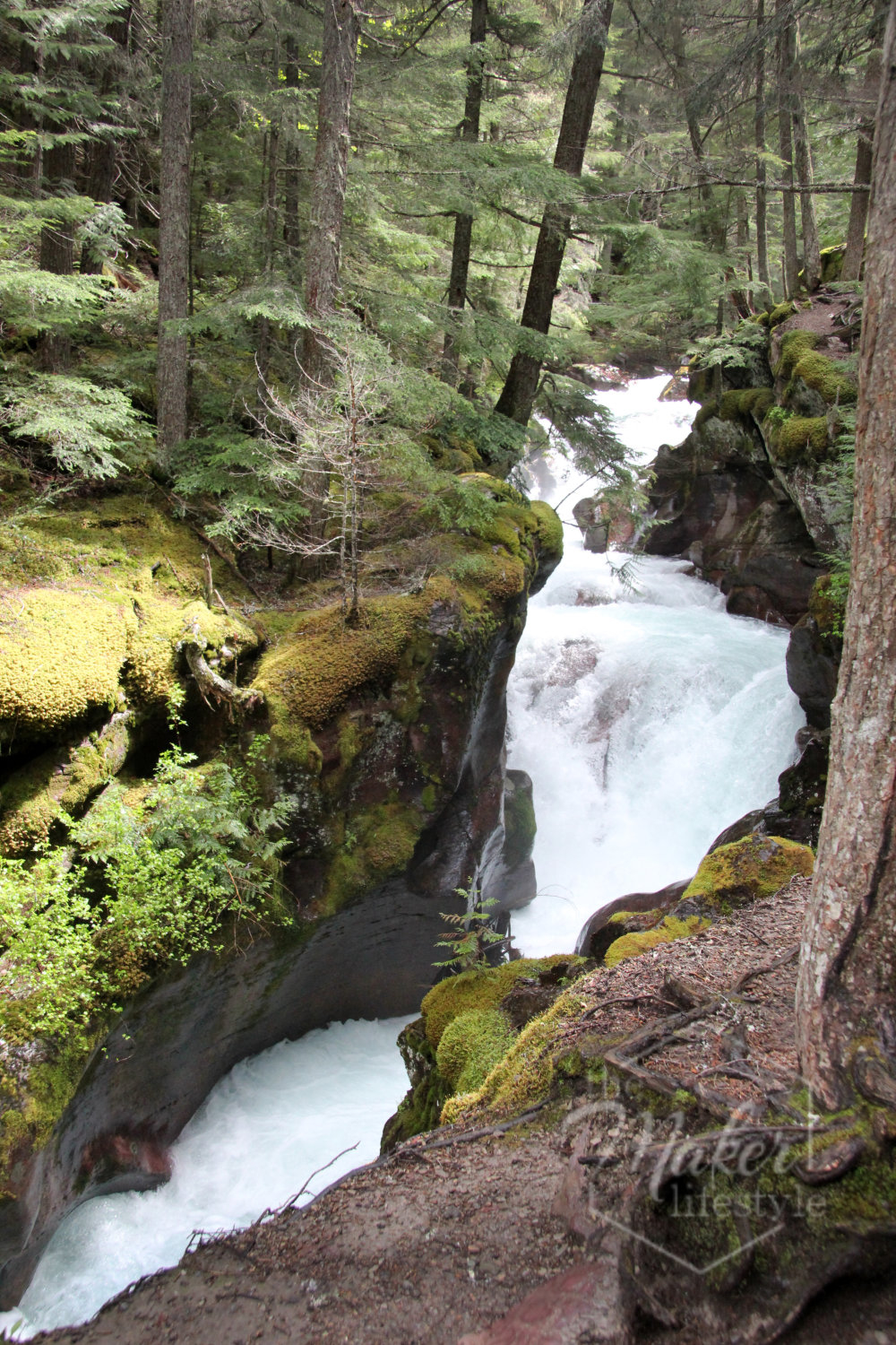 Glacier Mountain Stream Photograph