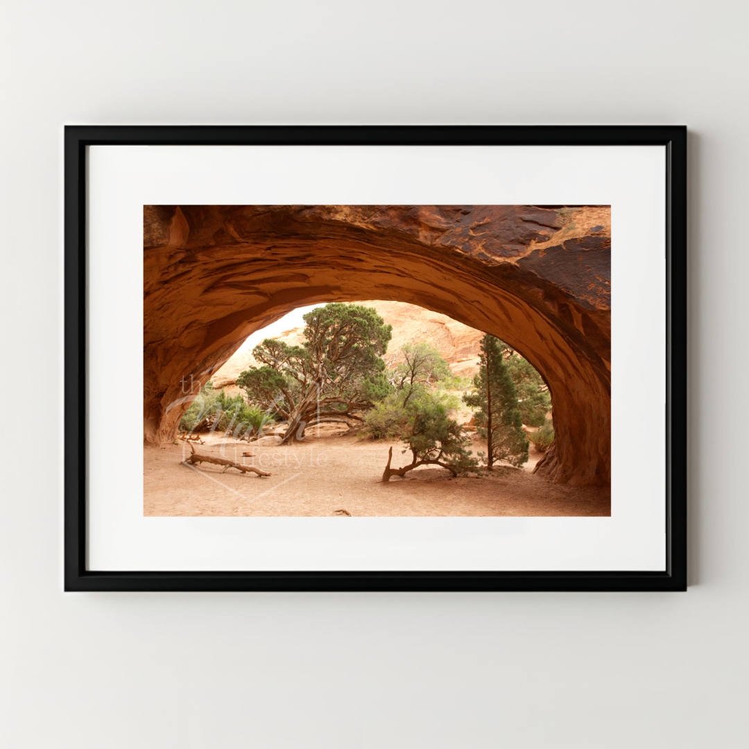 Desert Arch with Trees Photograph