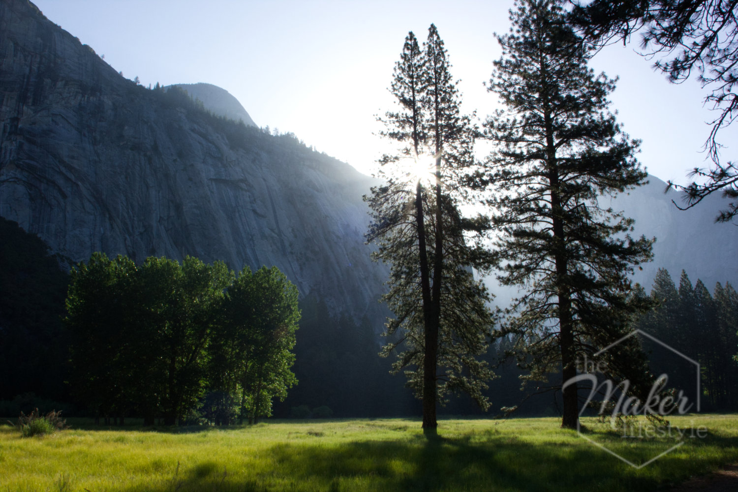 Yosemite Valley Sunrise Photograph
