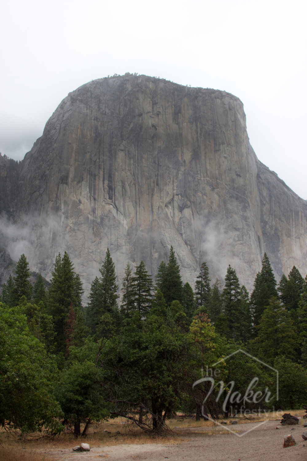 El Capitan Fog Photograph