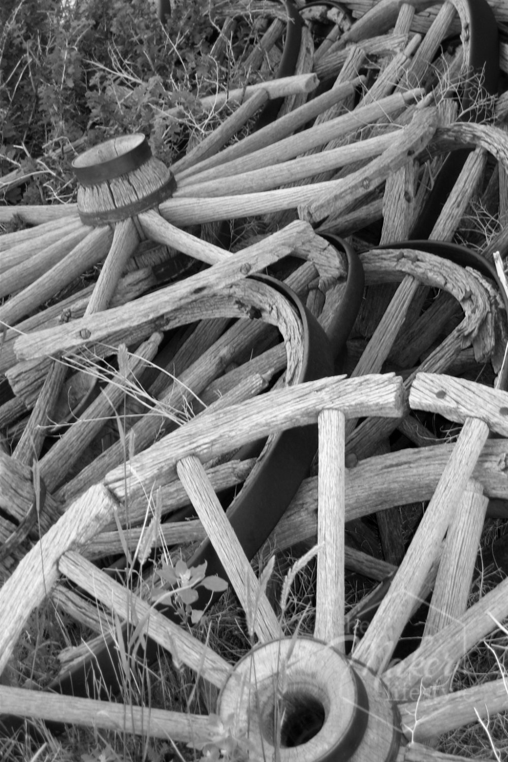 Wagon Wheels Photograph