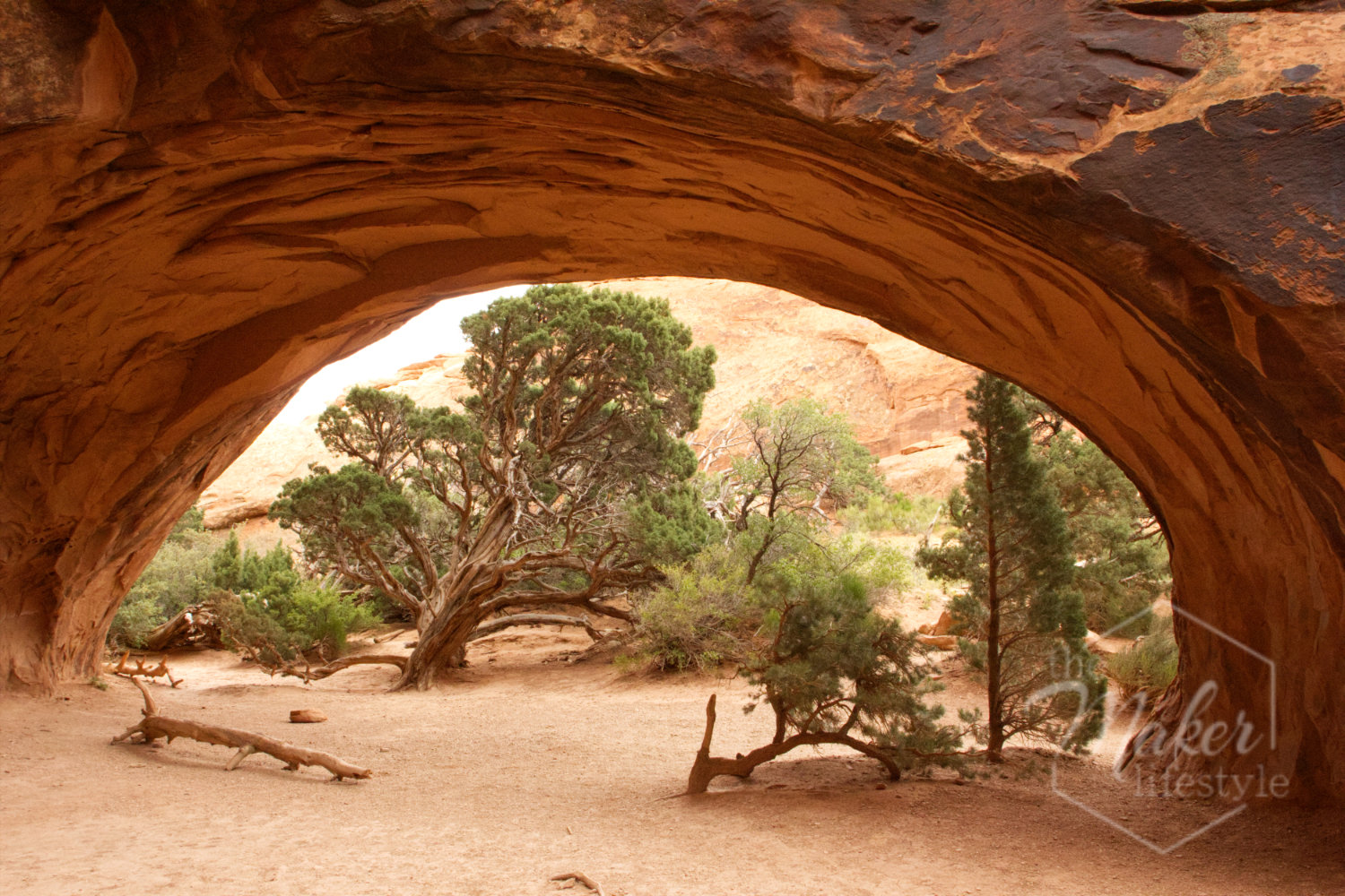 Desert Arch with Trees Photograph