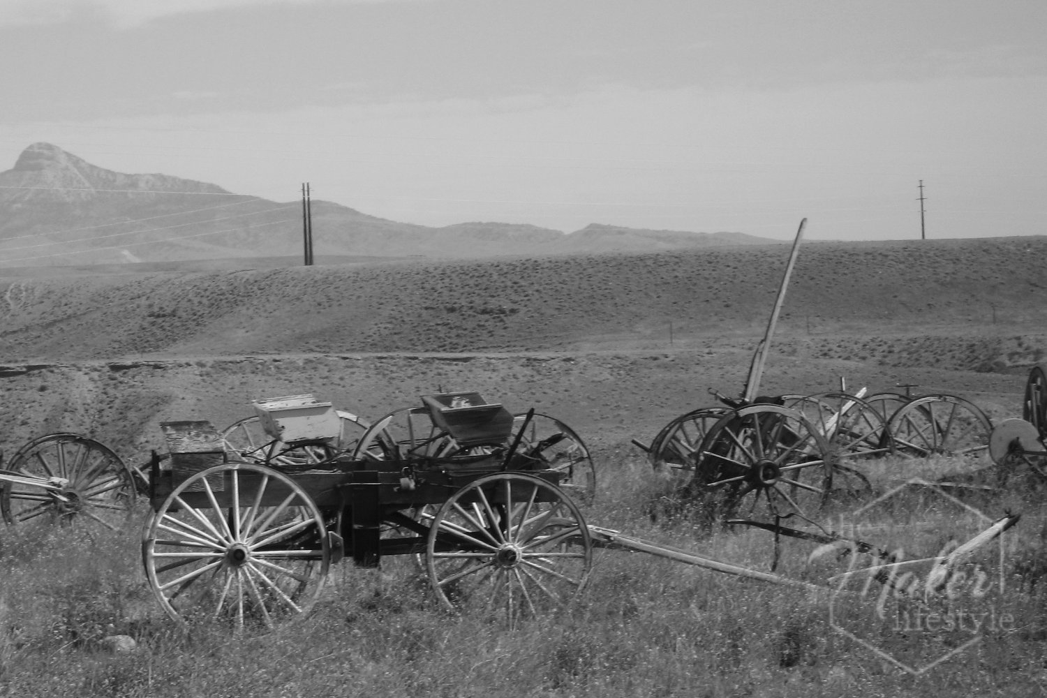 Abandoned Wagons Photograph