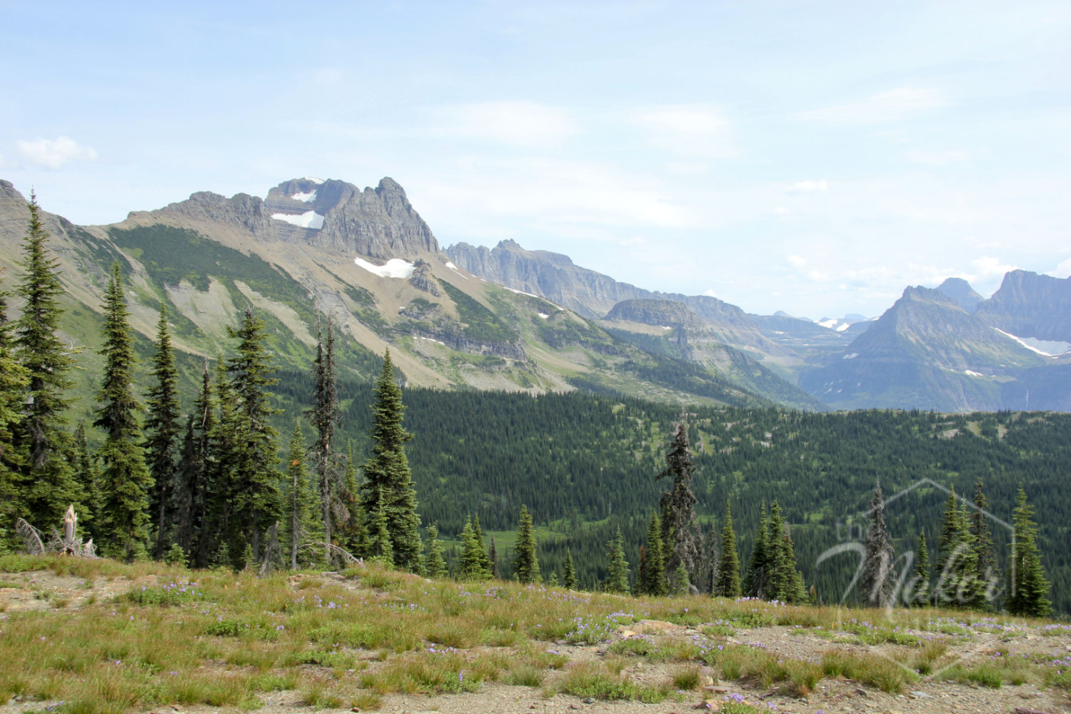 Mountain Valley Photograph