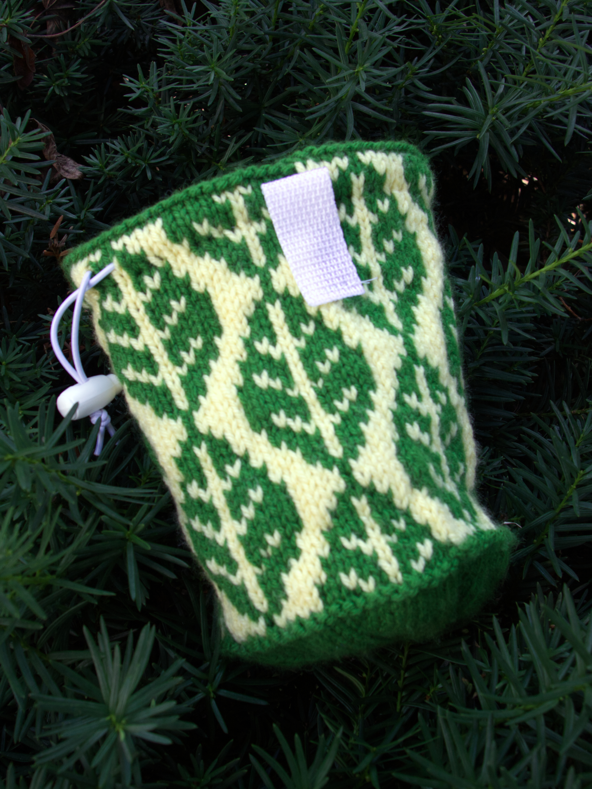 Leaves Chalk Bag