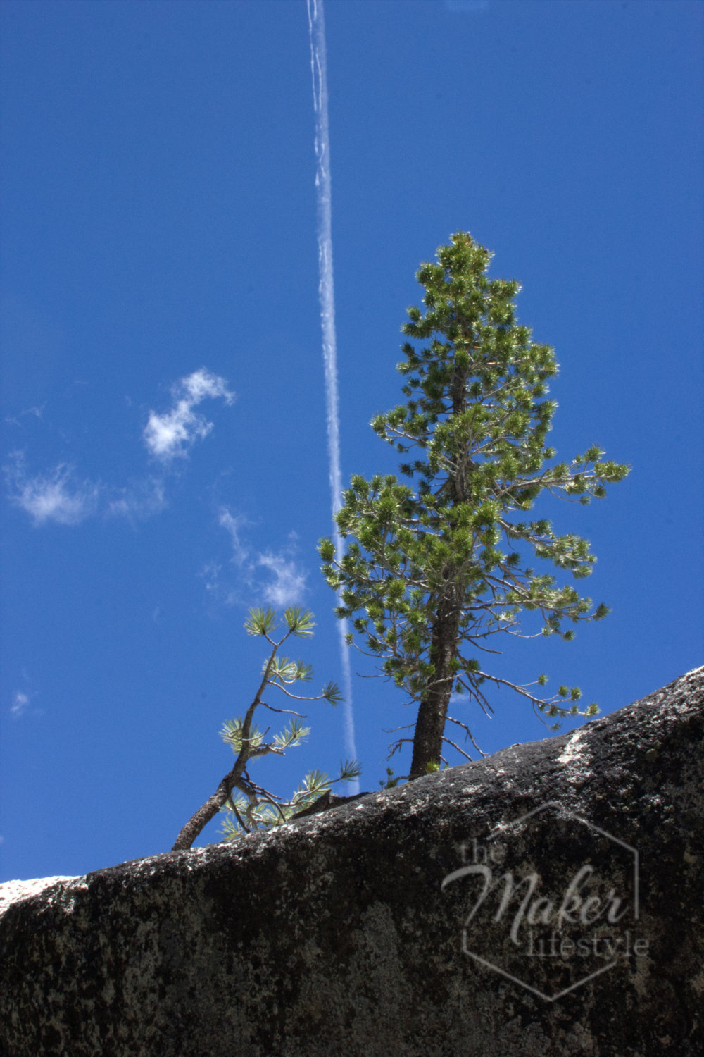 Lone Pine Granite Photograph