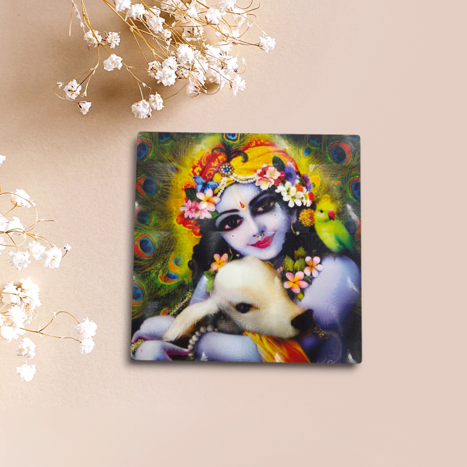 Gopala Leela Magnet