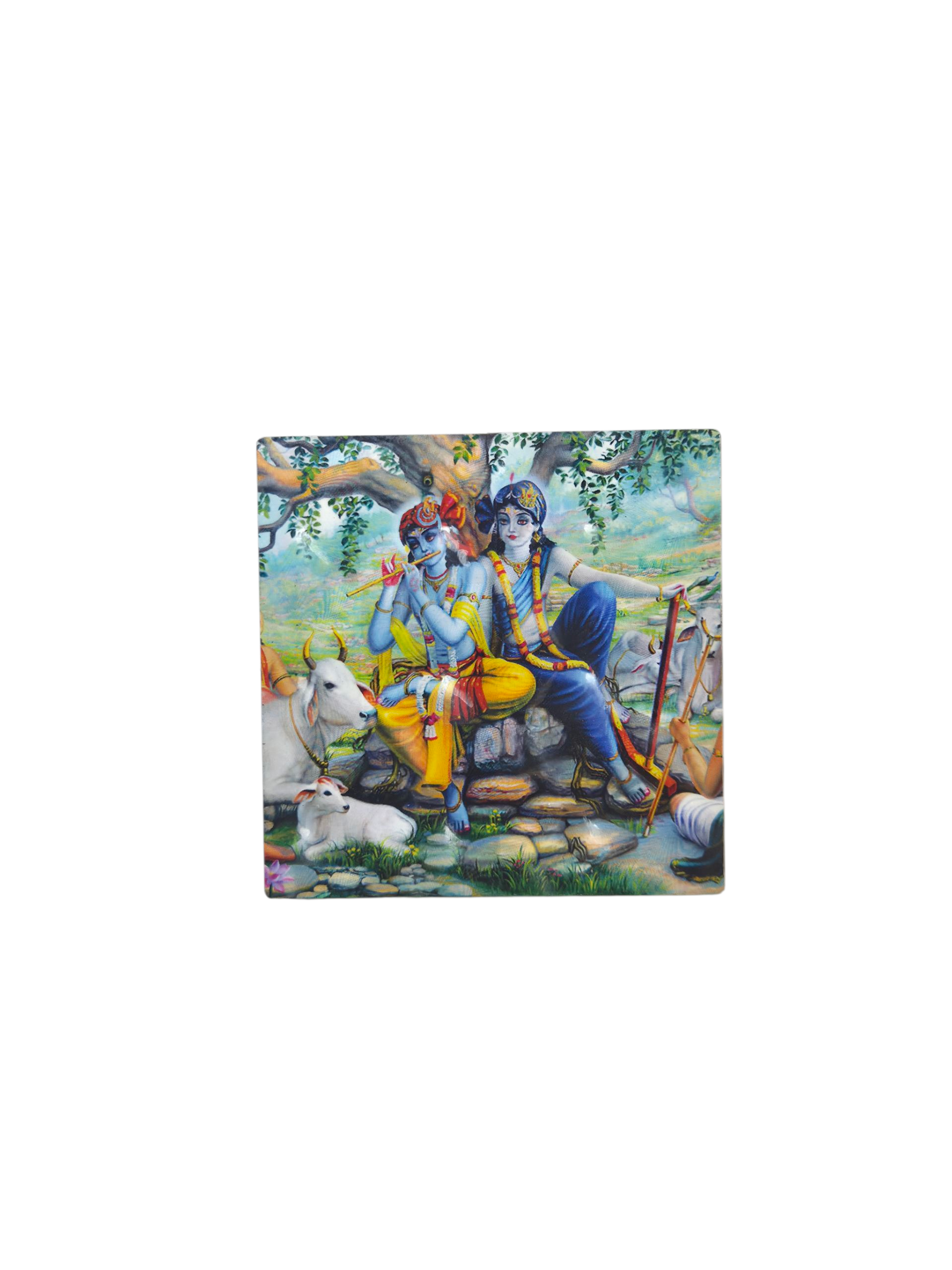 The Cowherd Friends Magnet