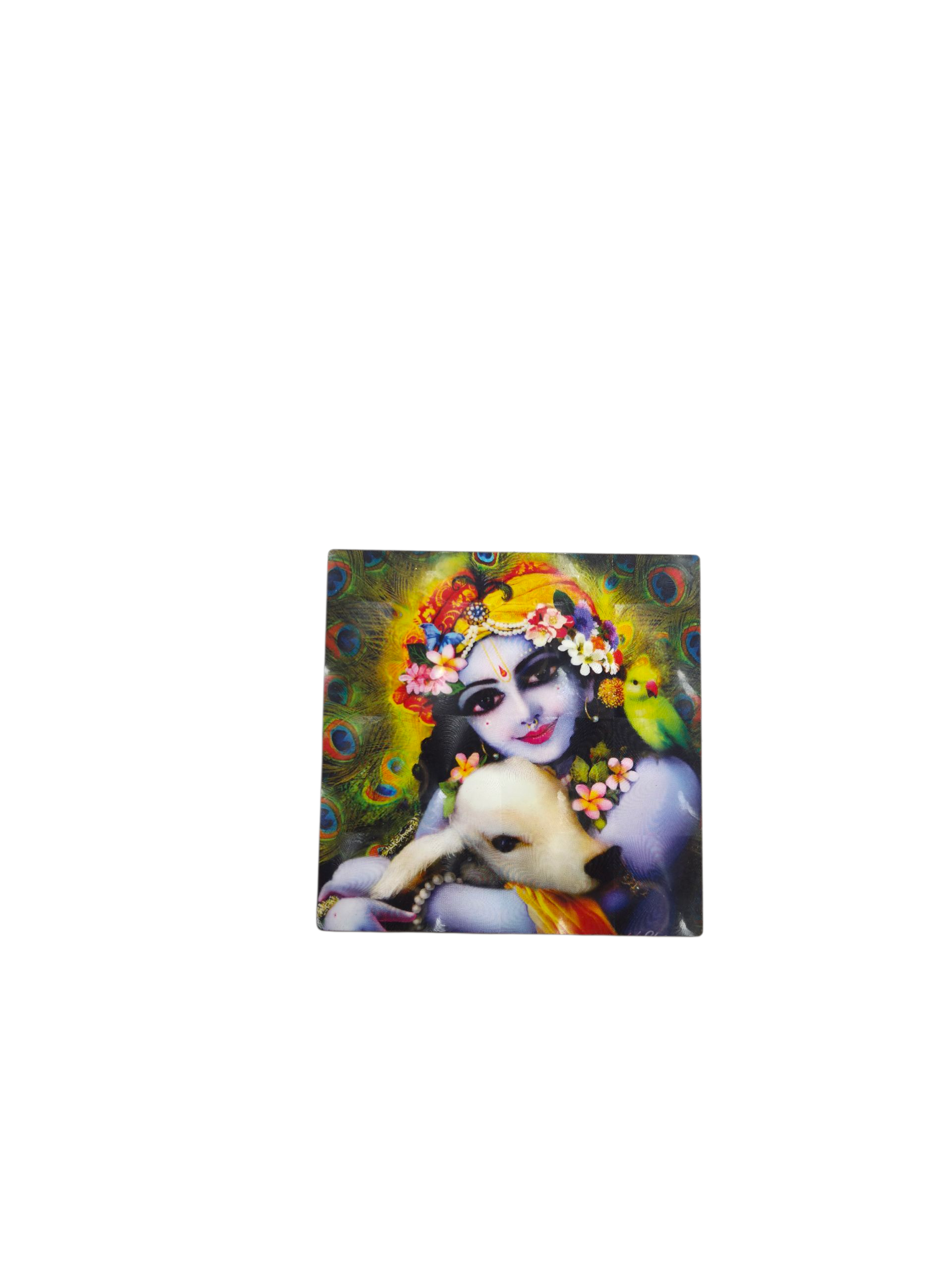 Gopala Leela Magnet