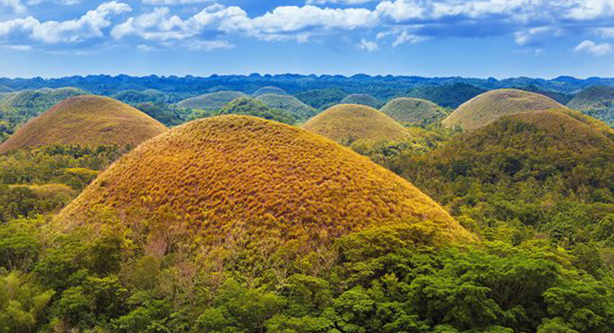 Bohol - Local Package