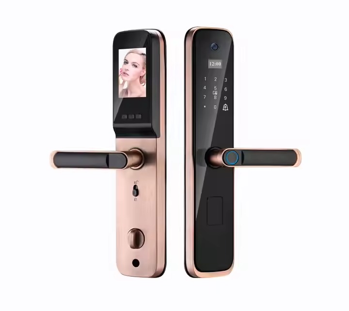 Cerradura inteligente biométrica Modelo DG 86 Red Cooper