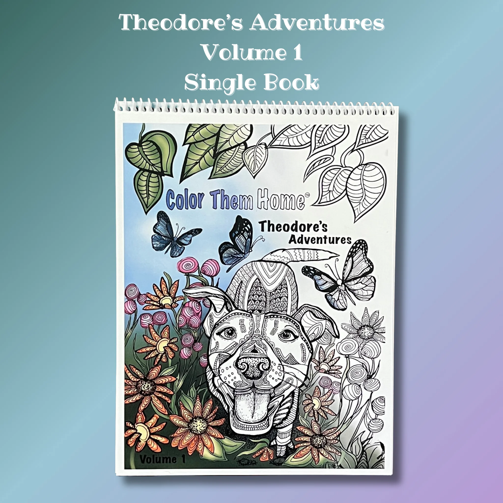 2 Pack Theodore’s Adventures Detailed Coloring Book