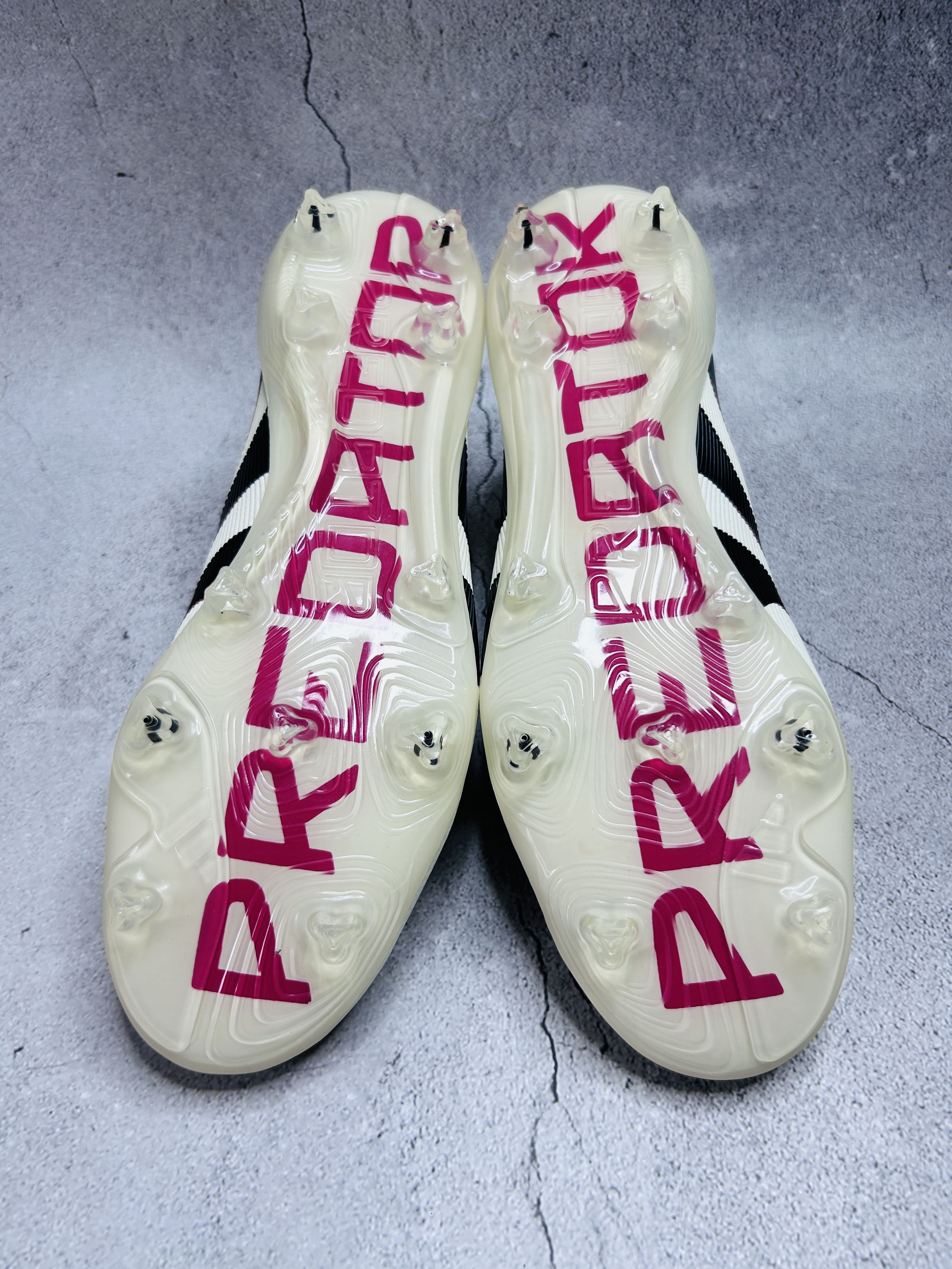 Predator Champagne 2025 edition Laceless