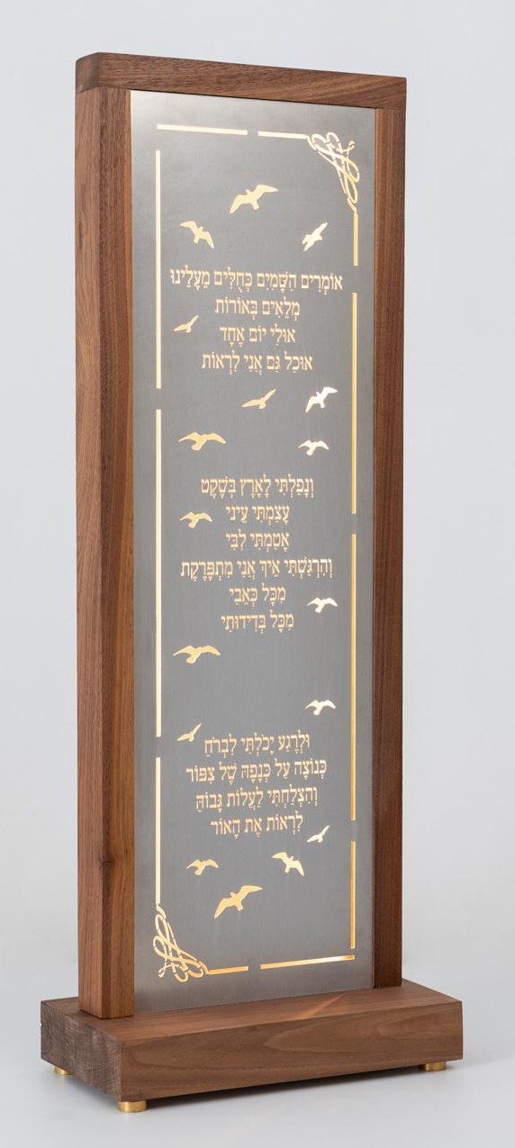 אריאל נתנסון