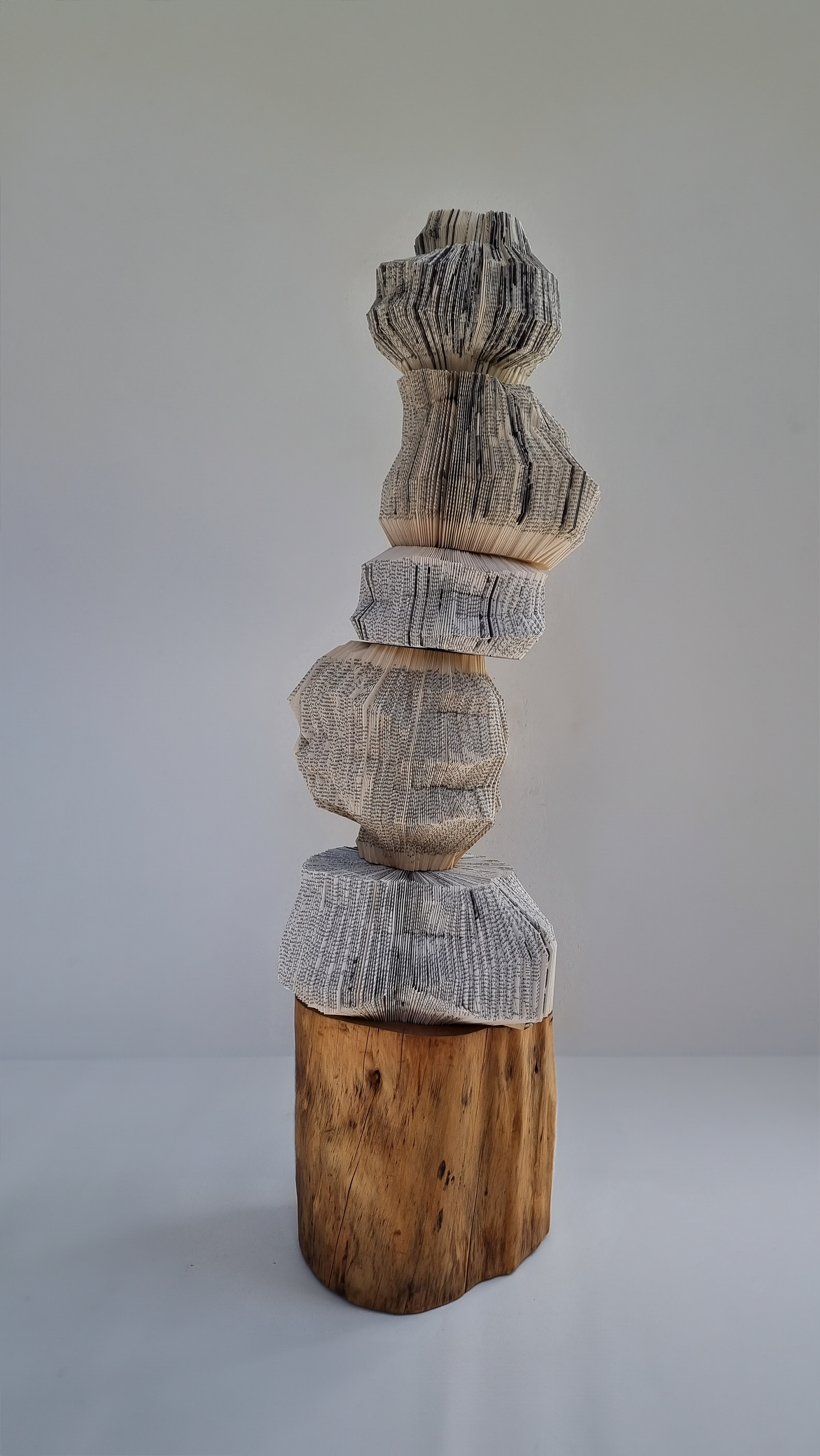 שרון גרמה שטיינפלד