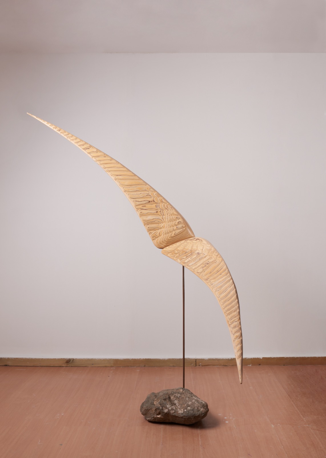 צביקה אלטמן