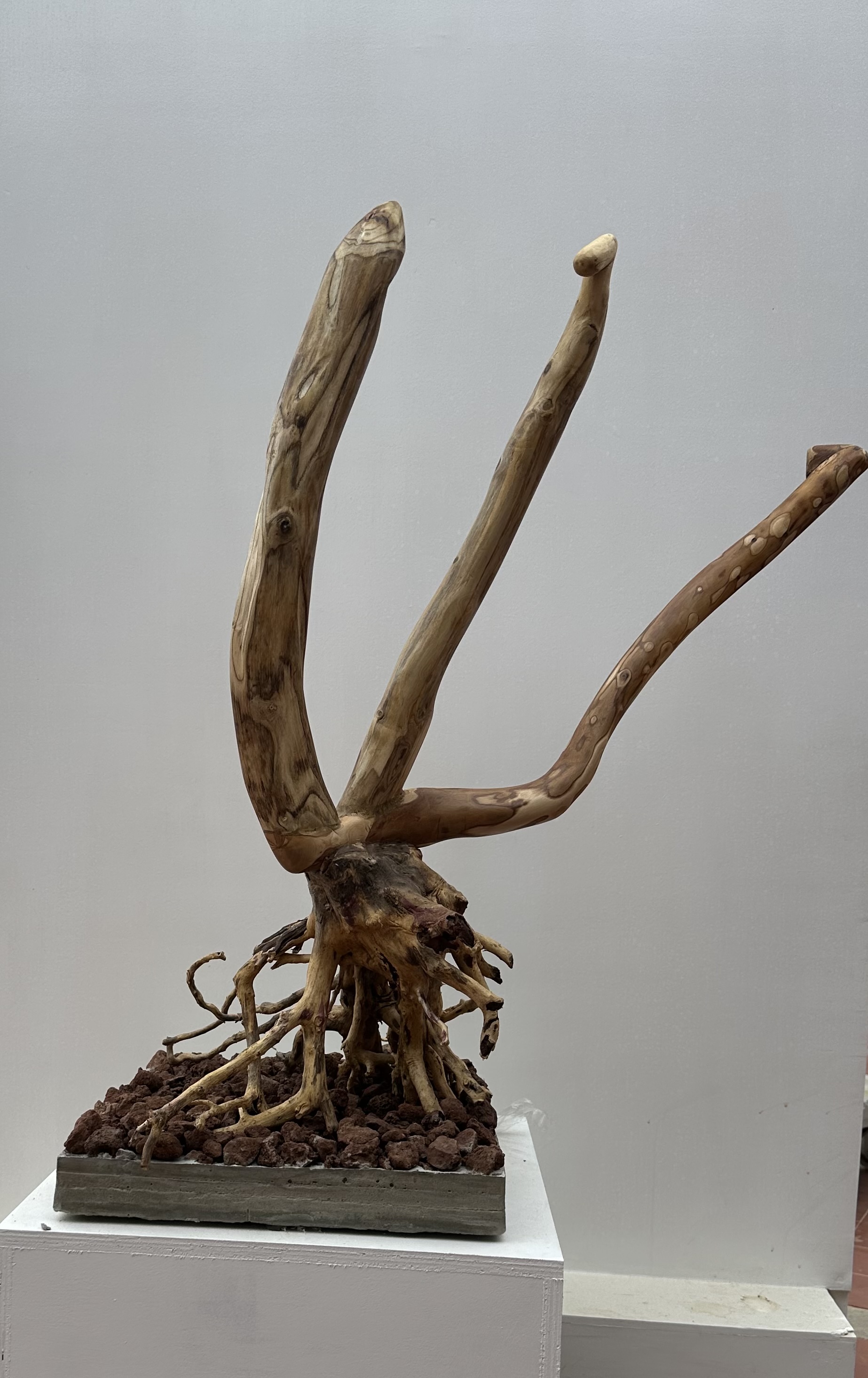 ז'אן ז'ק וטין