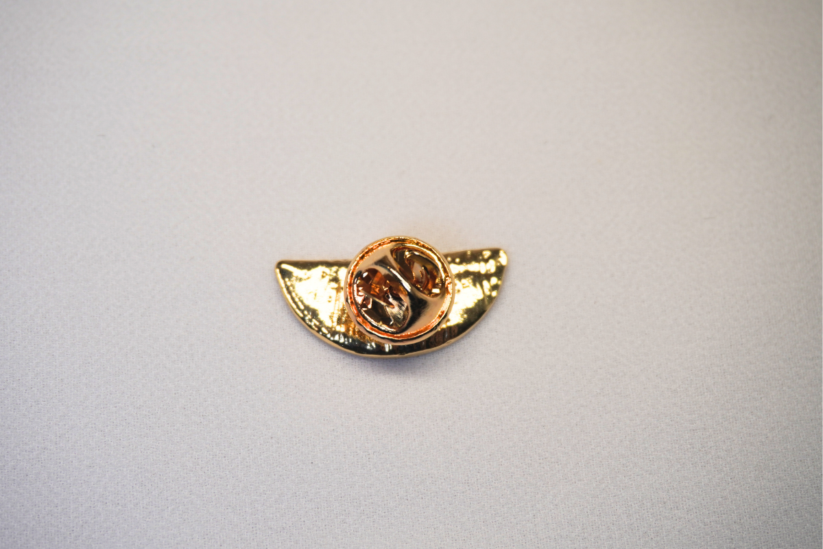 Palestine Watermelon Pin