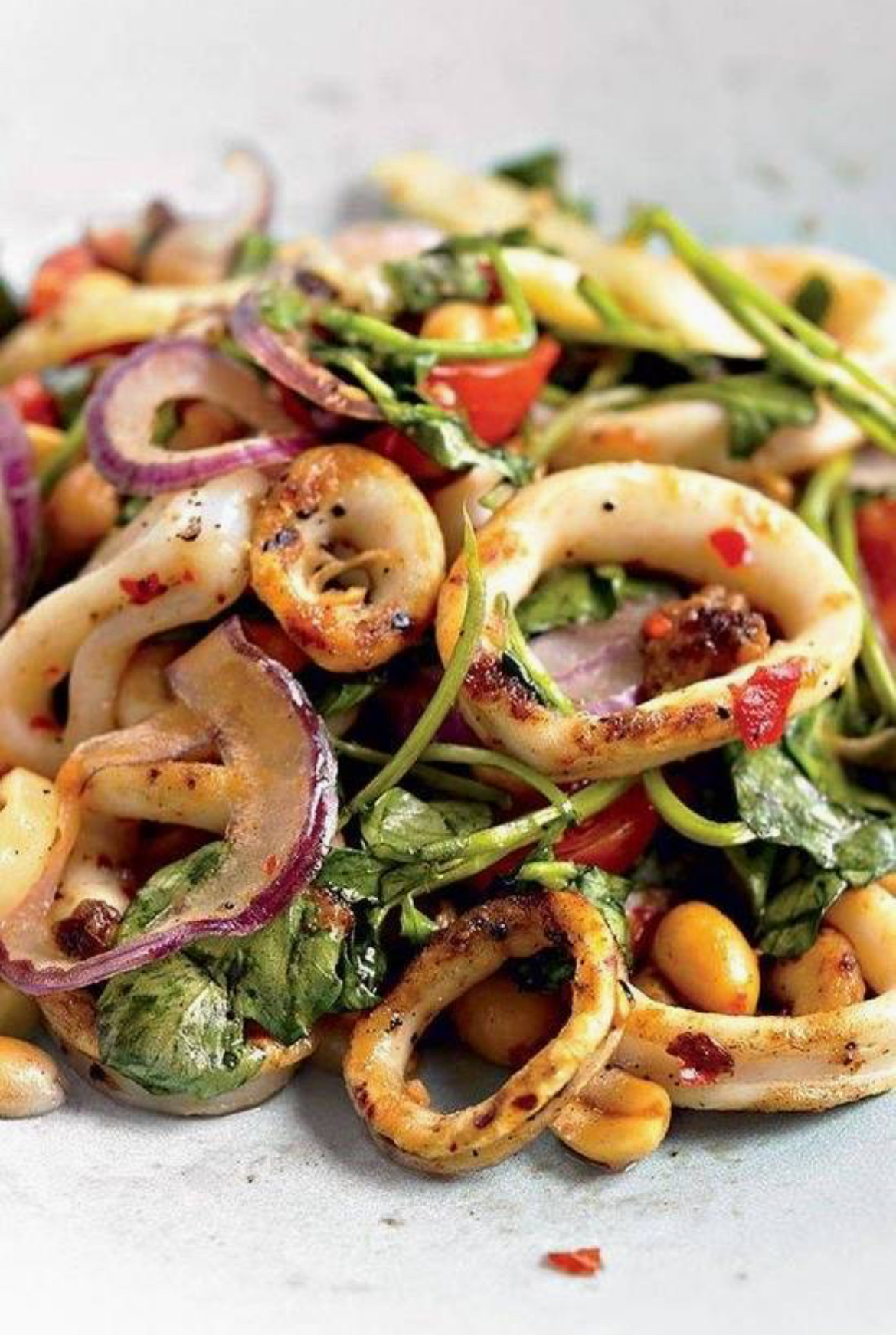 Grilled Calamari Salad