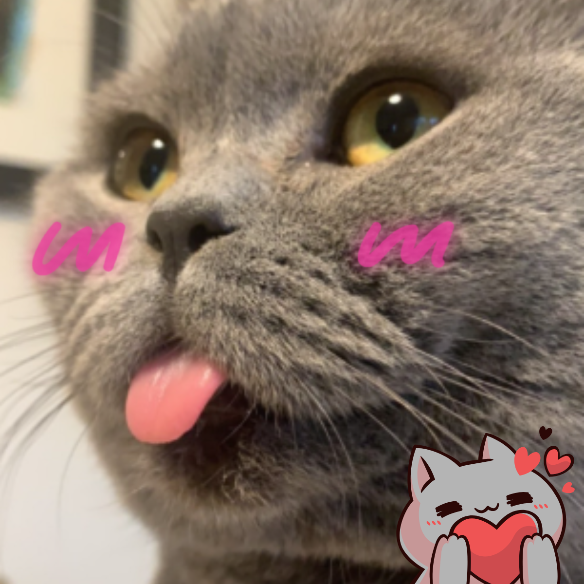 THE WISH OF QUANDALE GIFT CARD