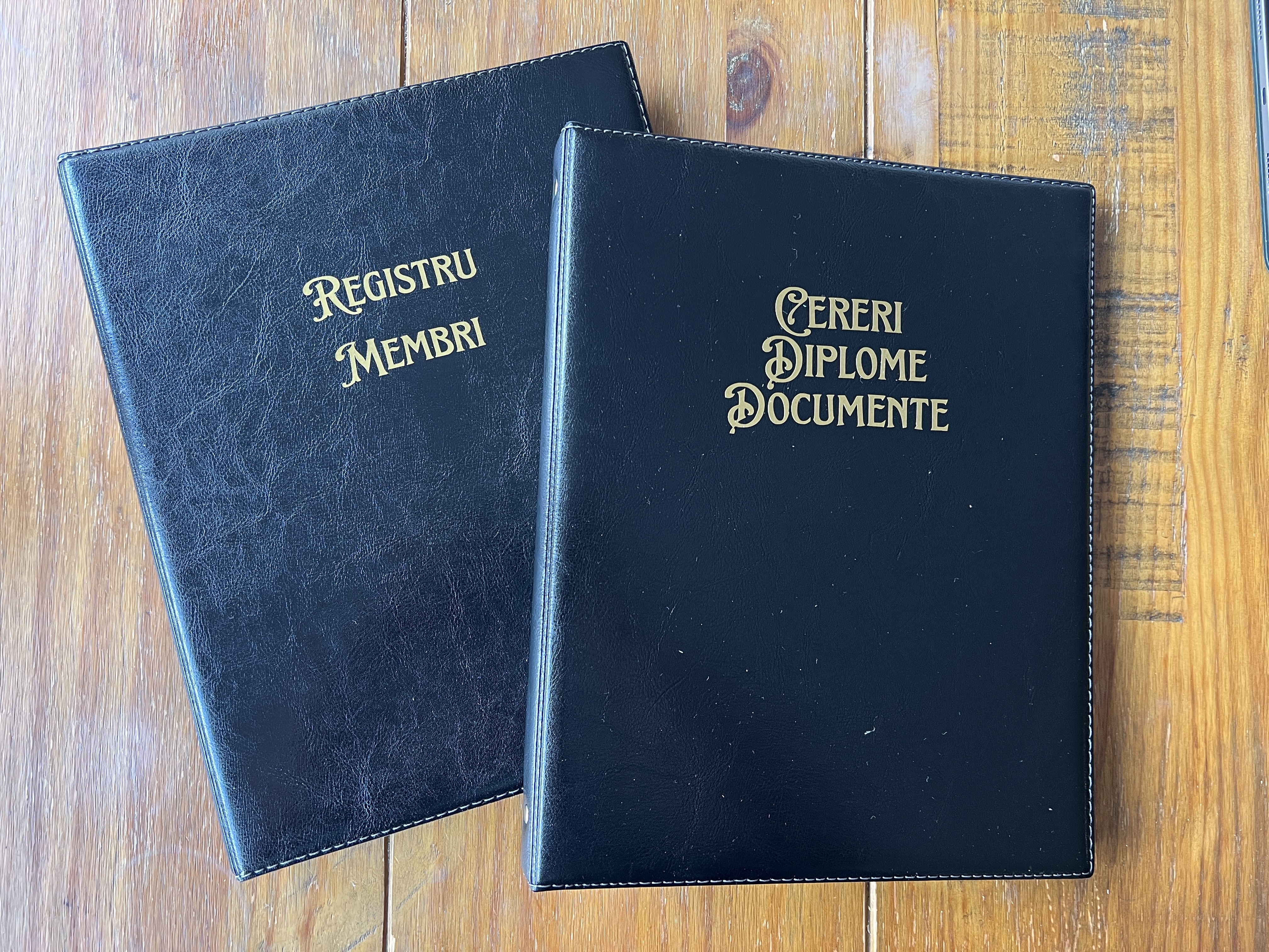 Dosar cu 4 inele (biblioraft) imitație piele (fără documente)