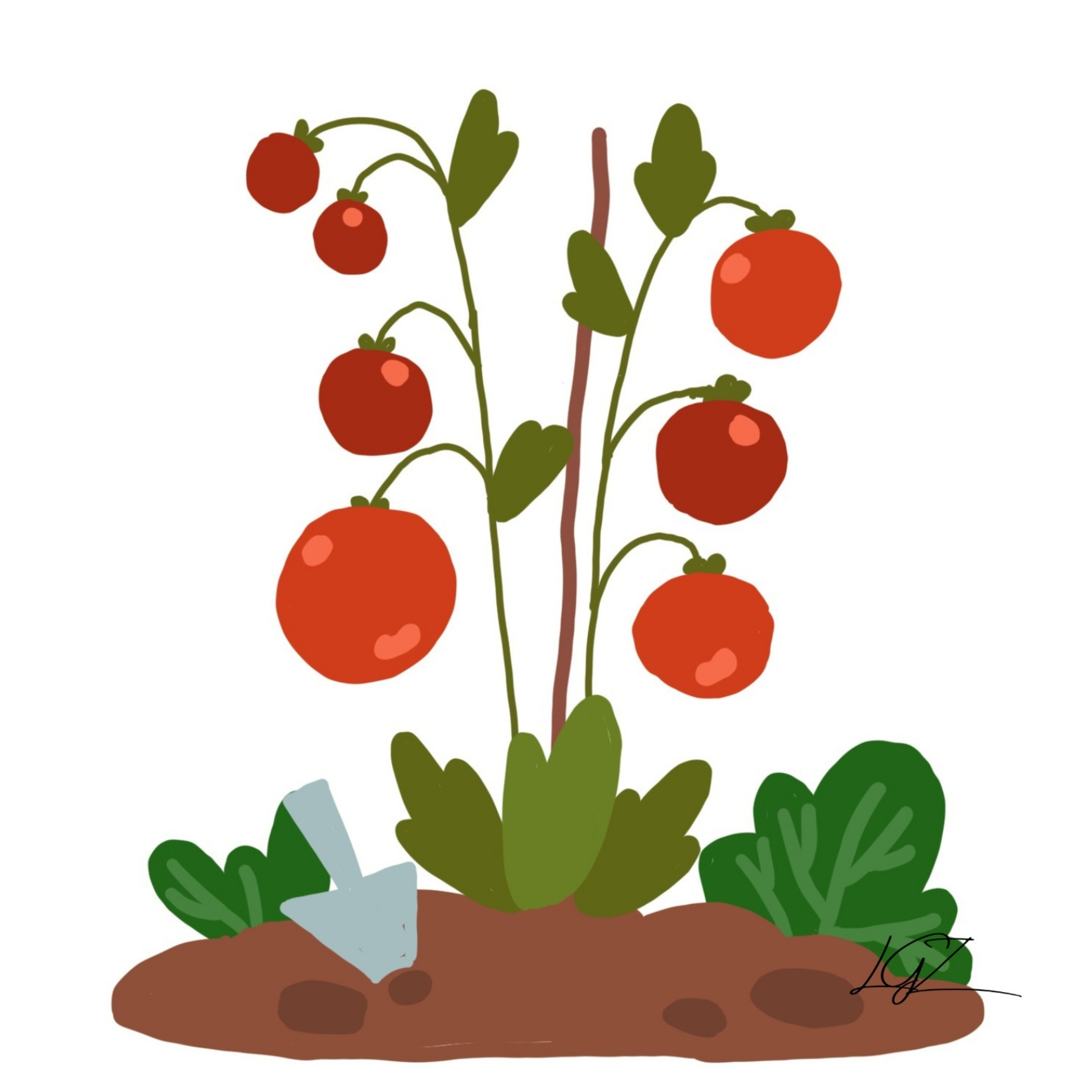 Pappy's Plant