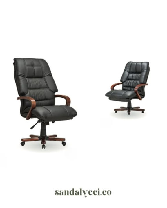 Ergonomik Ofis Koltuğu