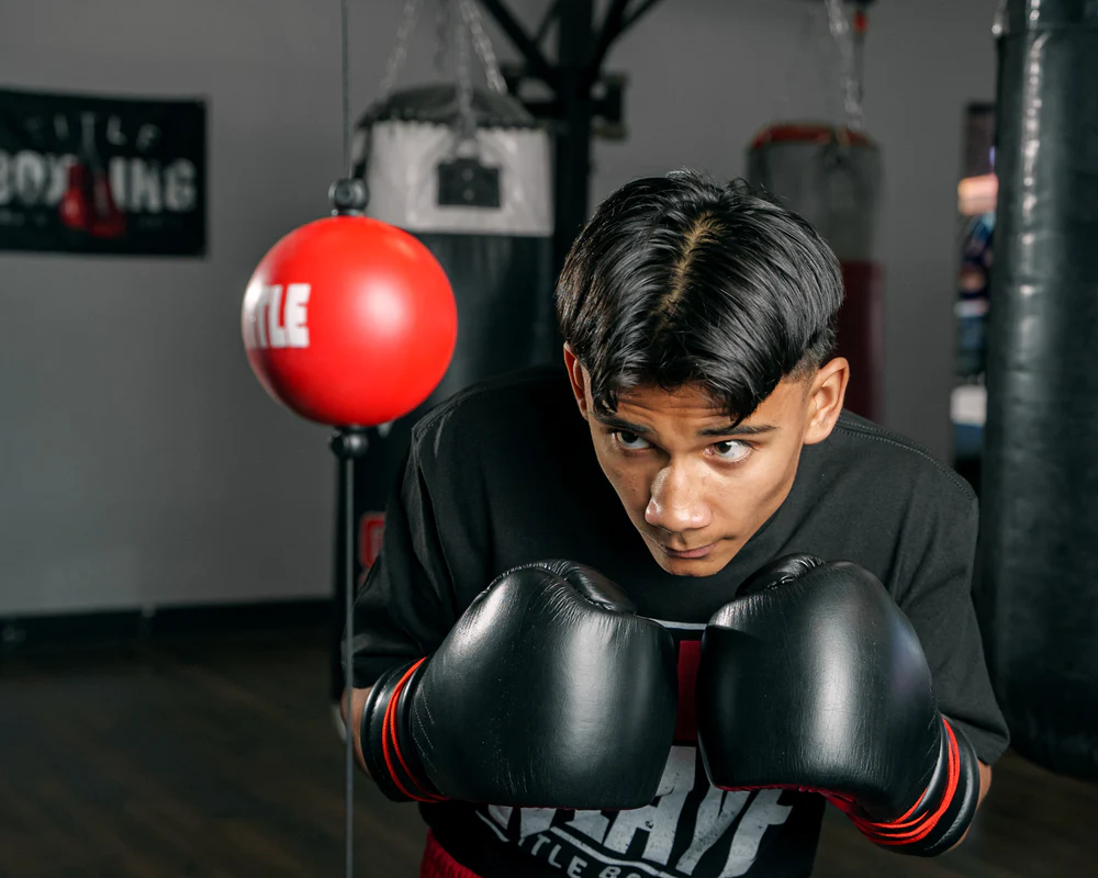 Entrenador de Golpes Rápidos – Title Boxing Quick Puncher 2.0