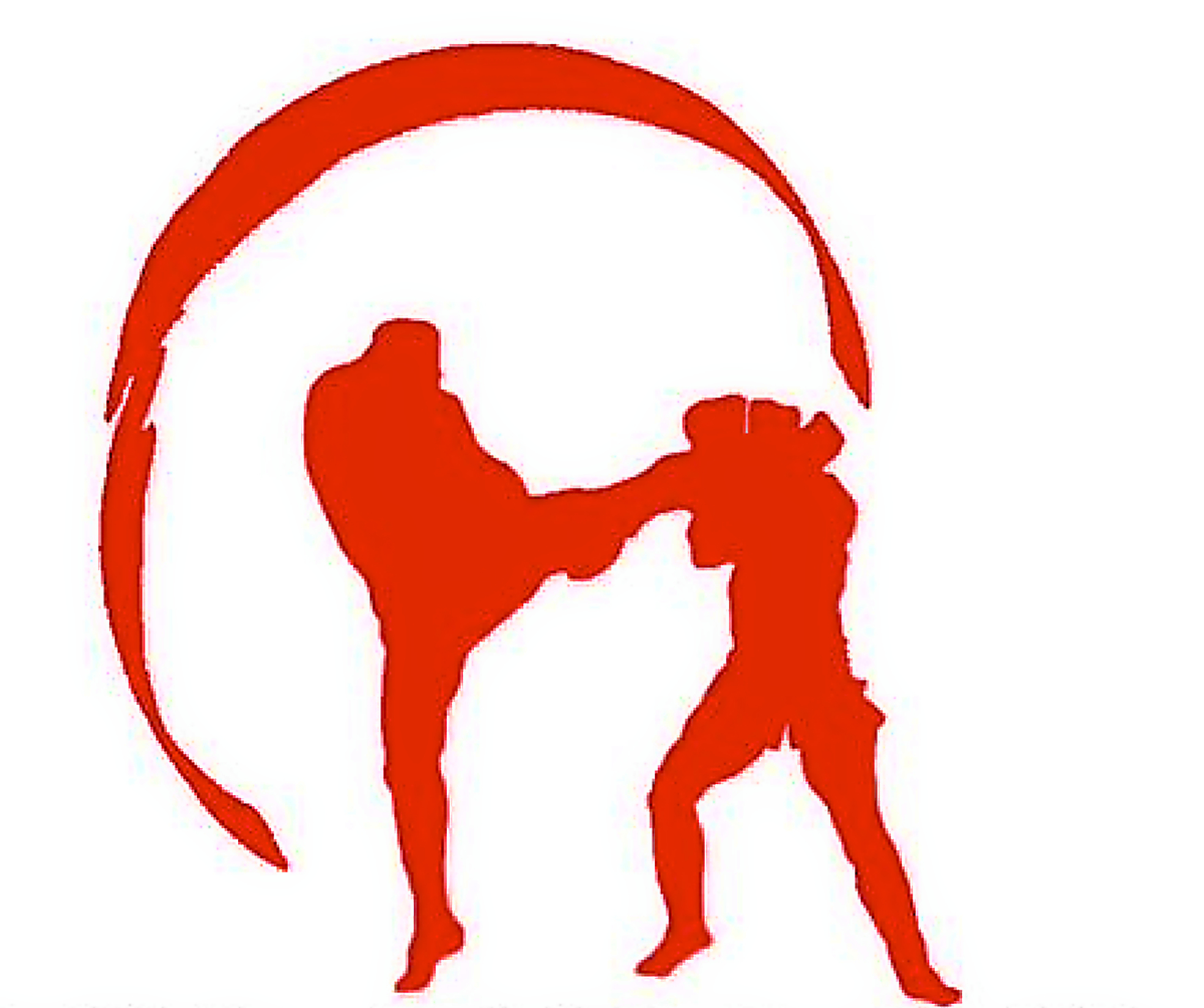 Martial Arts Training session age 13+ single session