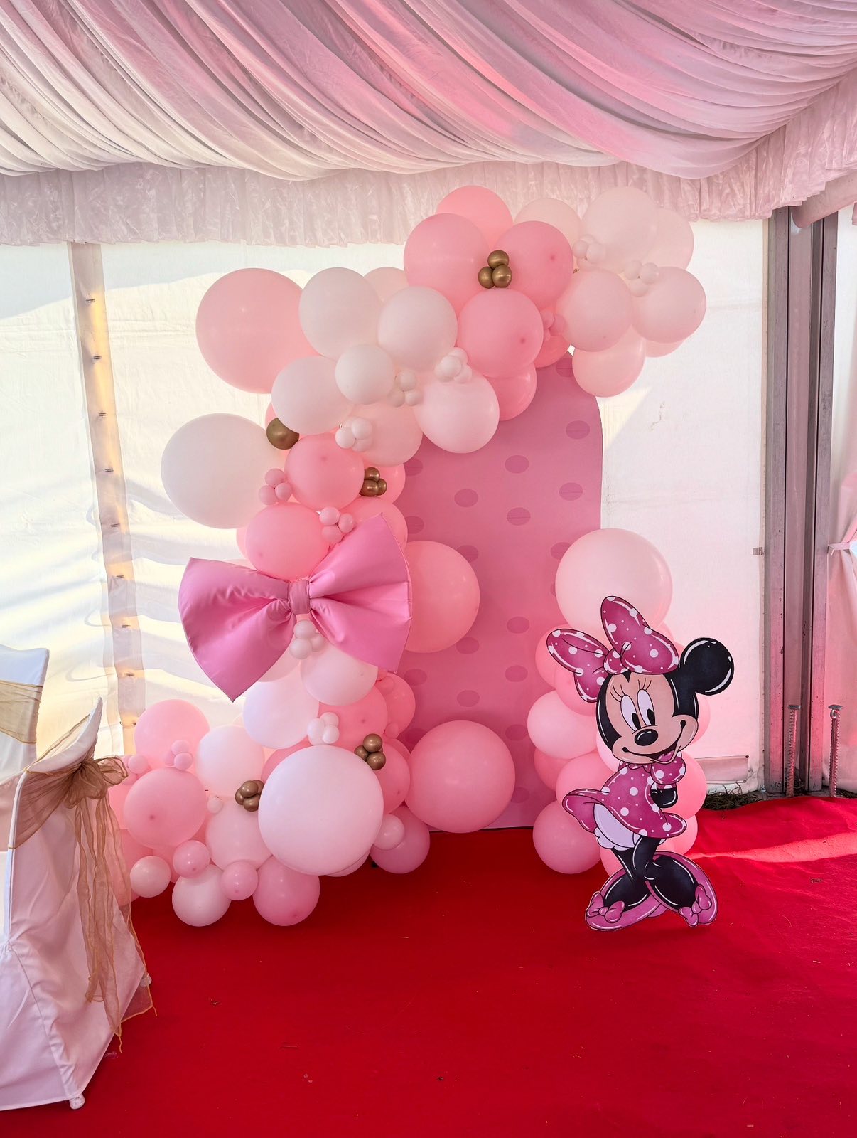 Dekoracije za rodjendane - Pozadina za slikanje 29