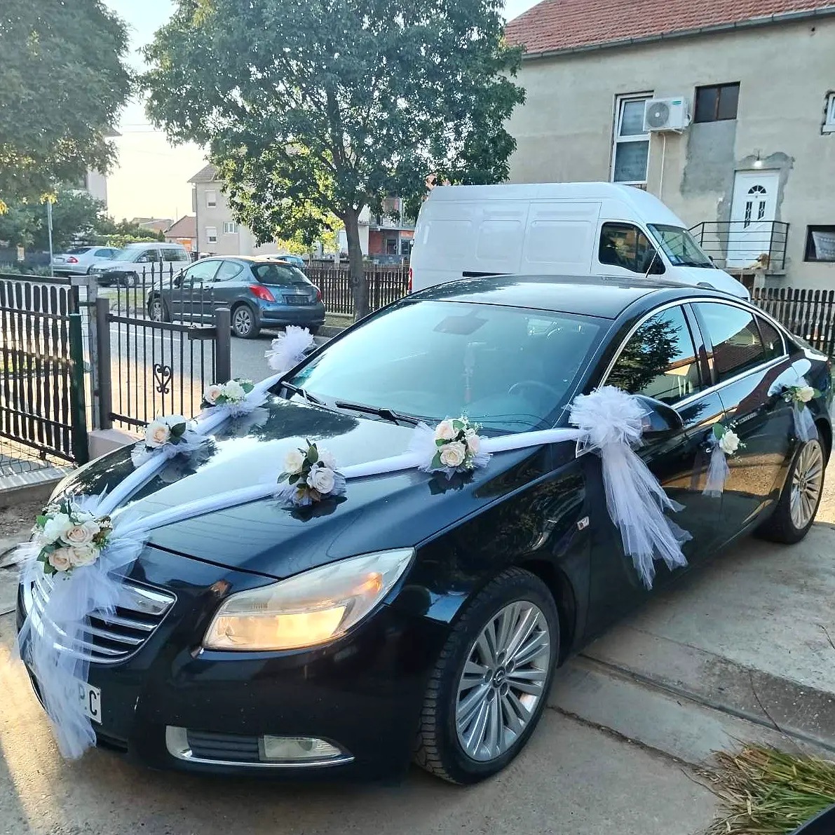 Dekoracije automobila 1