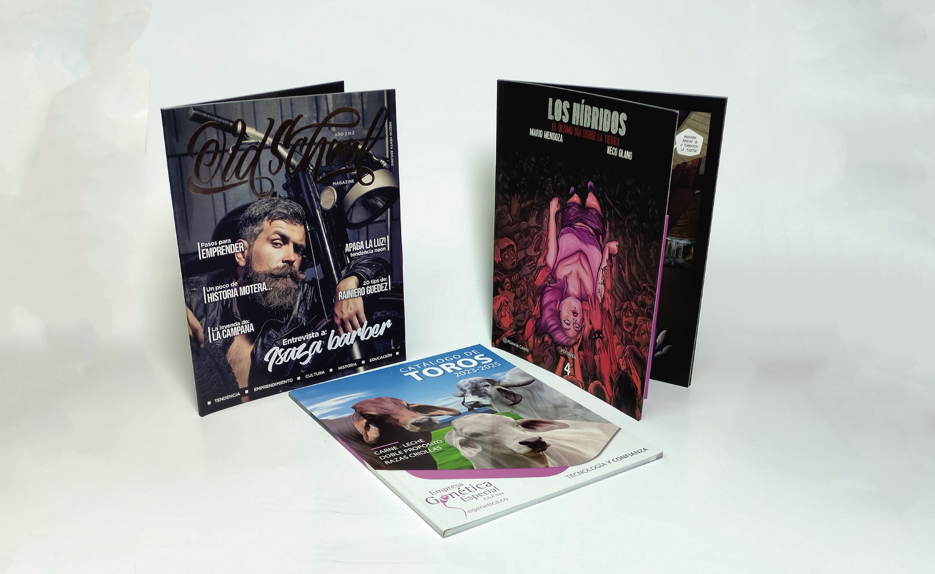 Revistas