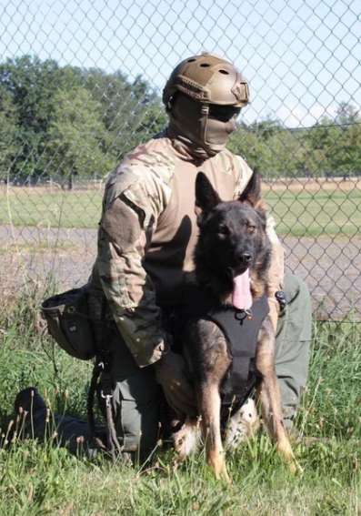 Colete Protetor  para Cães Ballistic SK1 com Proteção contra Facadas