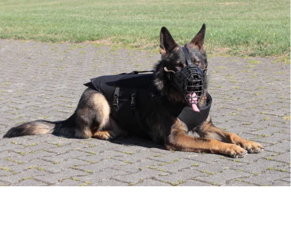 Colete Protetor  para Cães Ballistic SK1 com Proteção contra Facadas