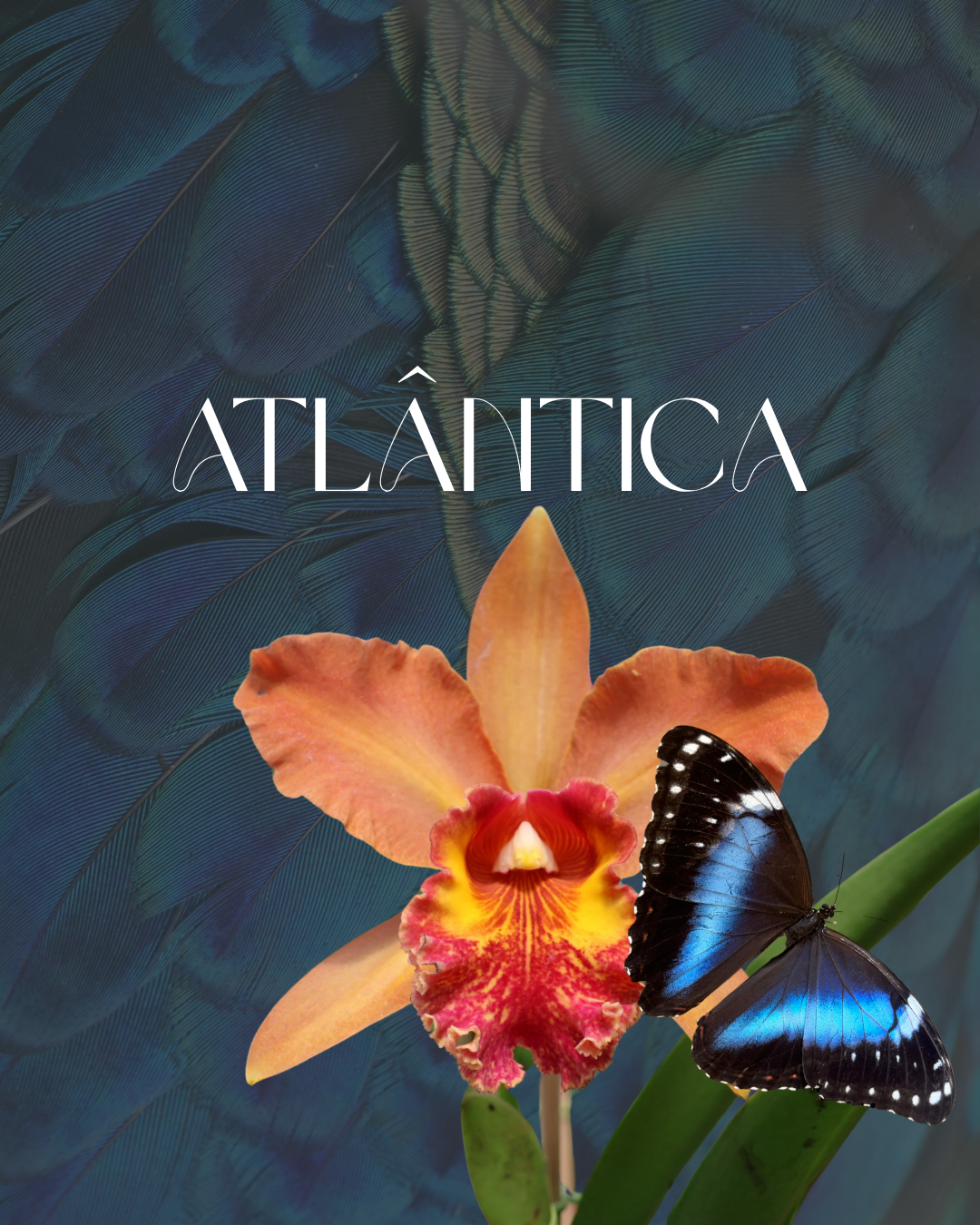 ATLÂNTICA - Retreat, 10-22.1.2026