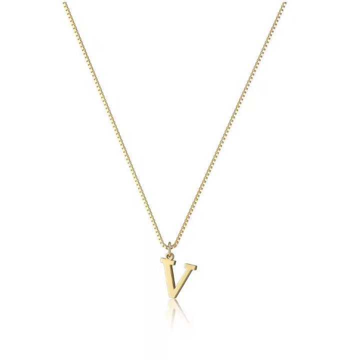 Daily “V” Necklace