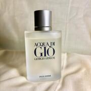 Acqua di Gio Giorgio Armani Masculino 100ml edt