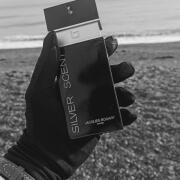 Perfume Silver Scent Masculino Eau De Toilette 100ml