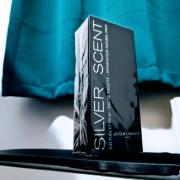 Perfume Silver Scent Masculino Eau De Toilette 100ml