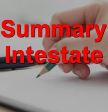 Summary Administration Without Will (Intestate) Packet