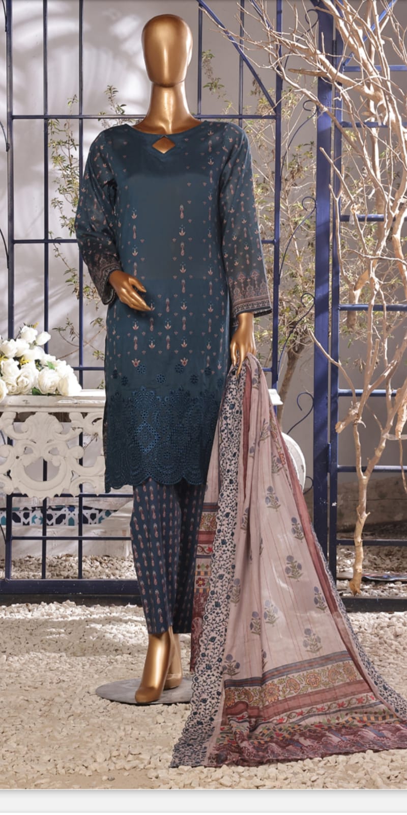 AIFA ChhickenKari