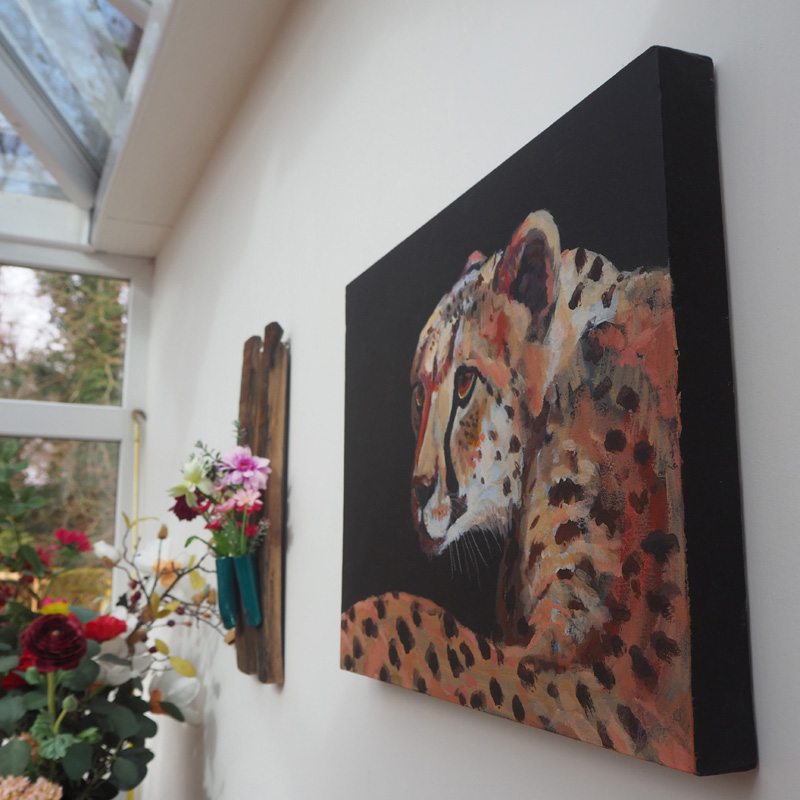 Colourful Cheetah